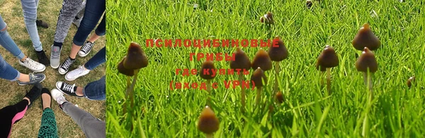 эйфоретик Абинск