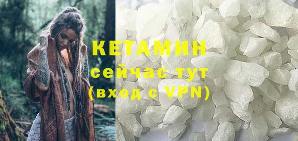 прущие грибы Вяземский