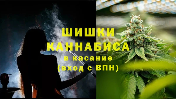 крисы Новодвинск