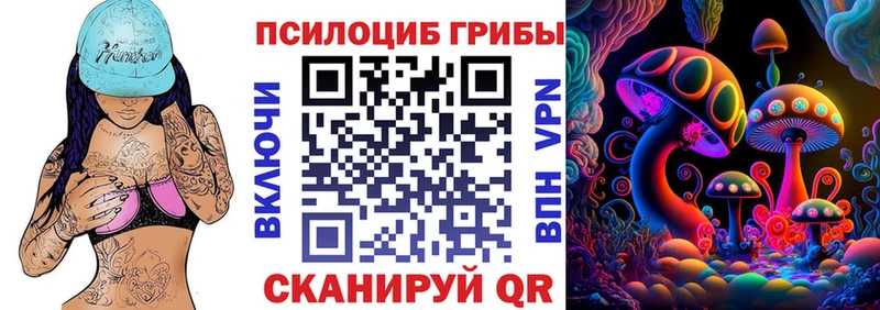 Галлюциногенные грибы Cubensis mega Ардатов даркнет какой сайт купить сайты